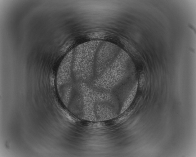 X0000097840282200804041450