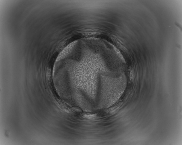 X0000097840283200804041450