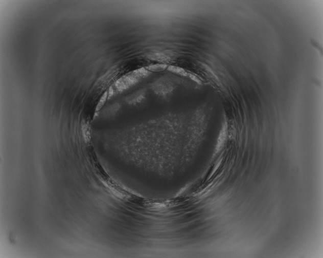 X0000097840285200804041450