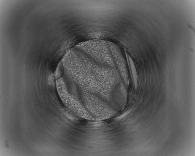 X0000097840286200804041450