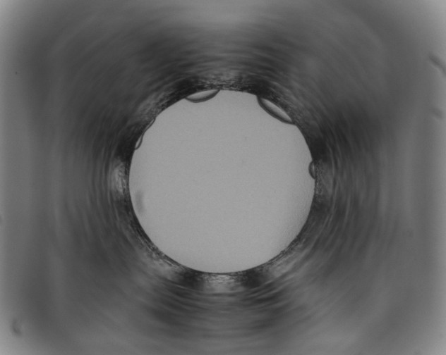 X0000097840287200804041450