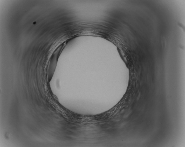 X0000097840289200804041450