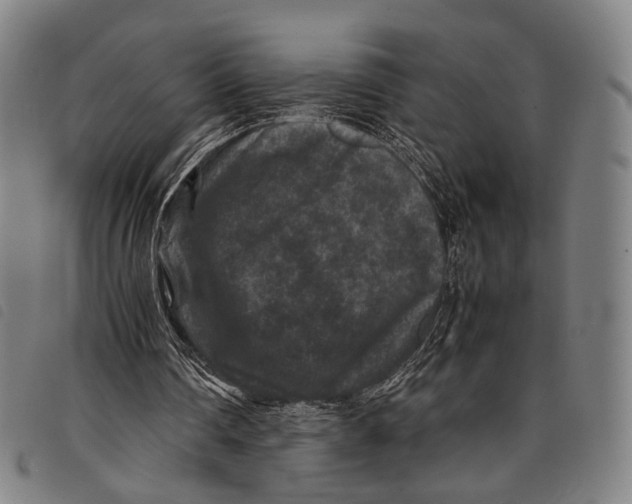 X0000097840290200804041450