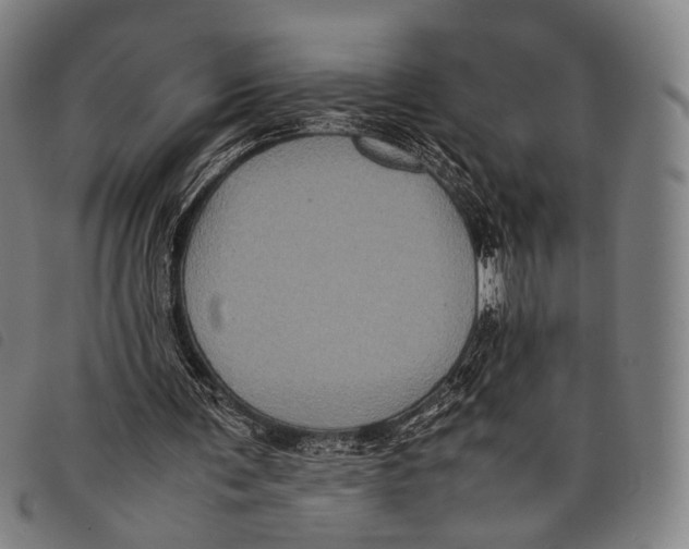 X0000097840291200804041450