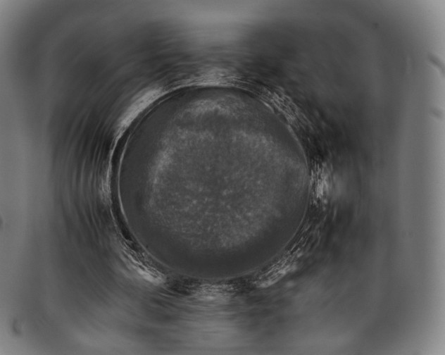 X0000097840292200804041450