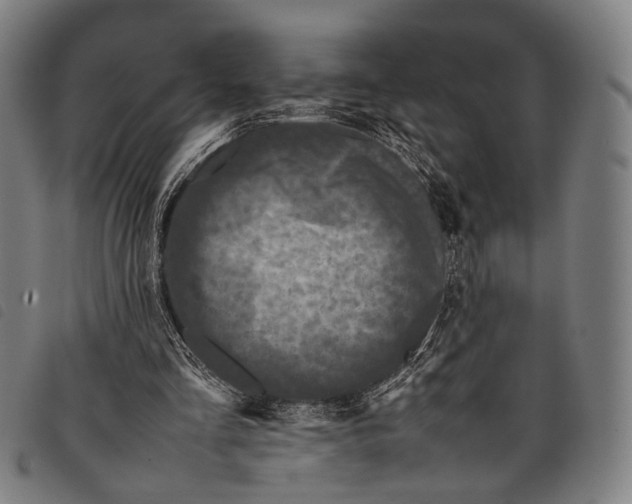 X0000097840293200804041450
