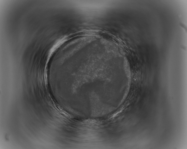 X0000097840294200804041450