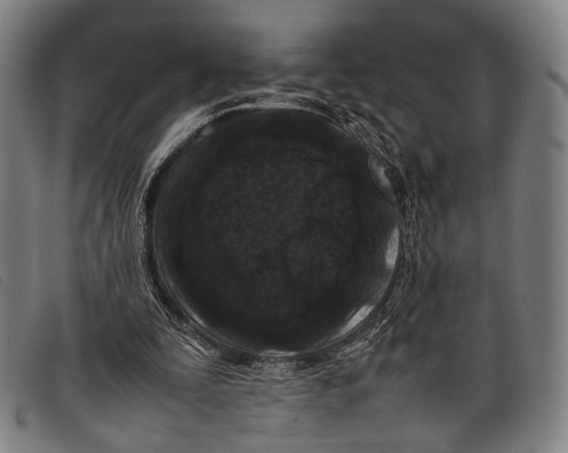 X0000097840295200804041450