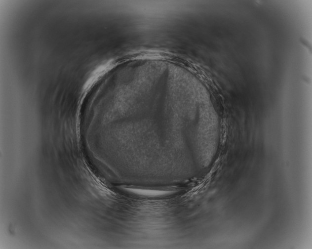 X0000097840296200804041450