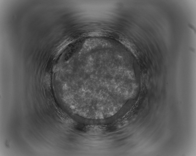 X0000097840297200804041450
