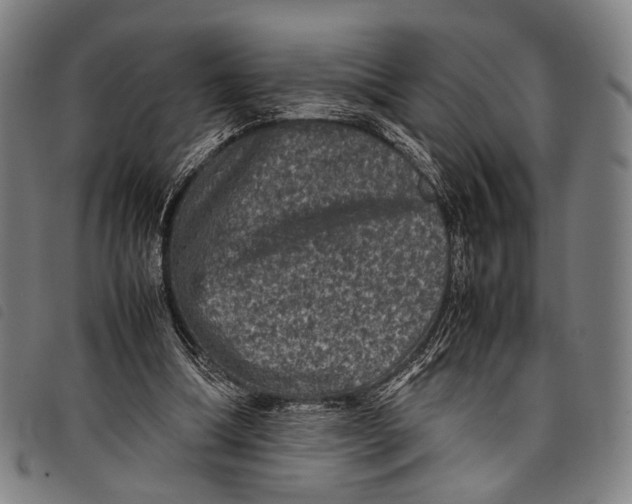 X0000097840298200804041450
