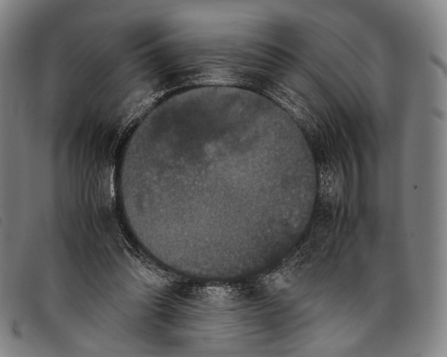 X0000097840302200804041449