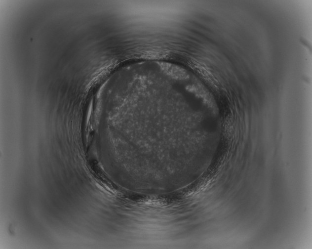 X0000097840303200804041449