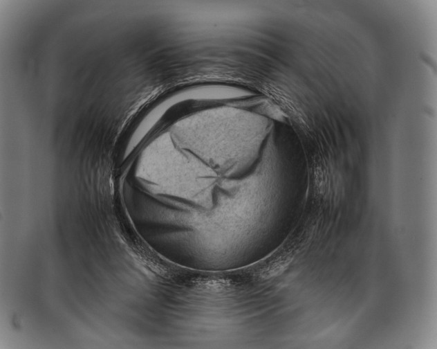 X0000097840304200804041449