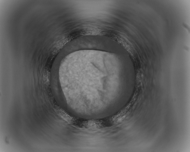 X0000097840305200804041449