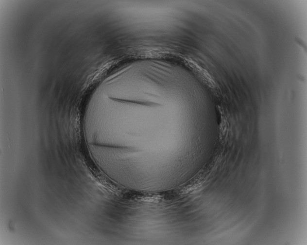 X0000097840306200804041449