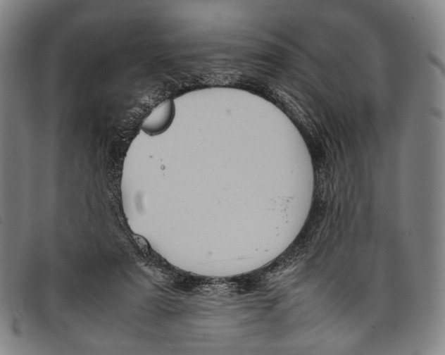 X0000097840307200804041449