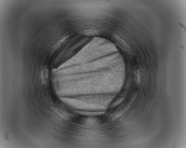 X0000097840308200804041449