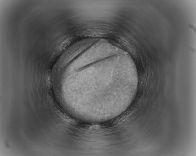 X0000097840309200804041449