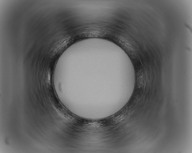 X0000097840310200804041449