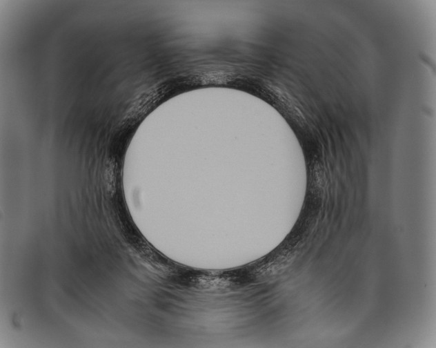 X0000097840311200804041449