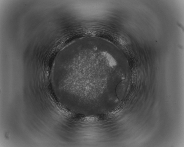 X0000097840314200804041449