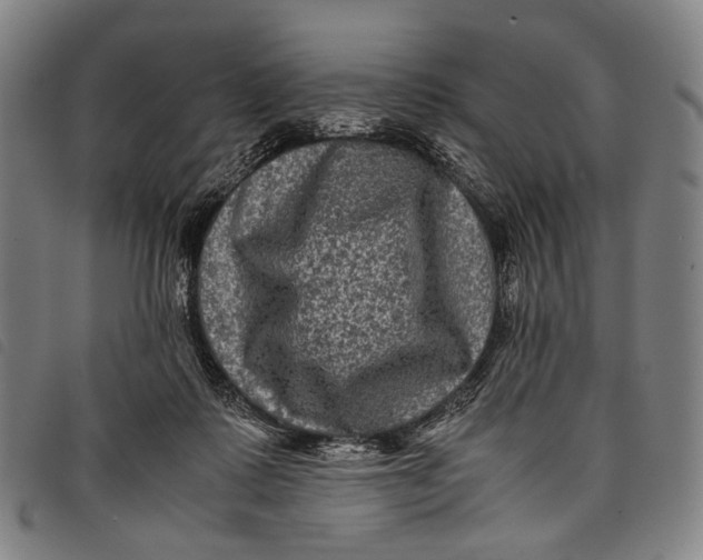 X0000097840315200804041449