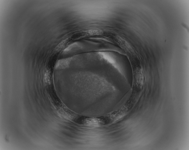 X0000097840316200804041449