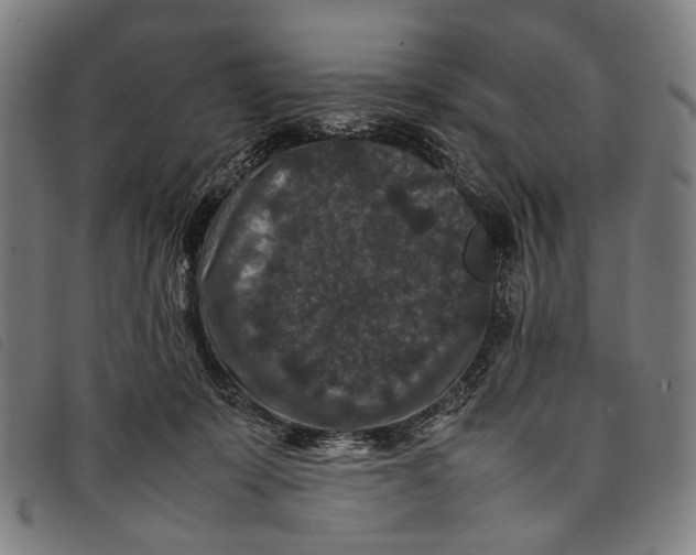 X0000097840319200804041449