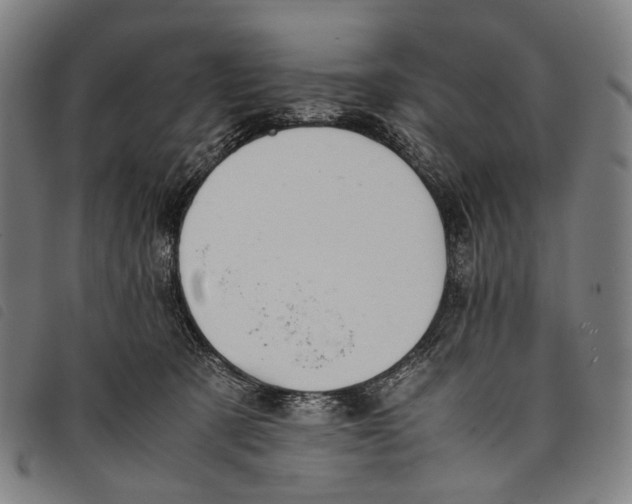 X0000097840321200804041449