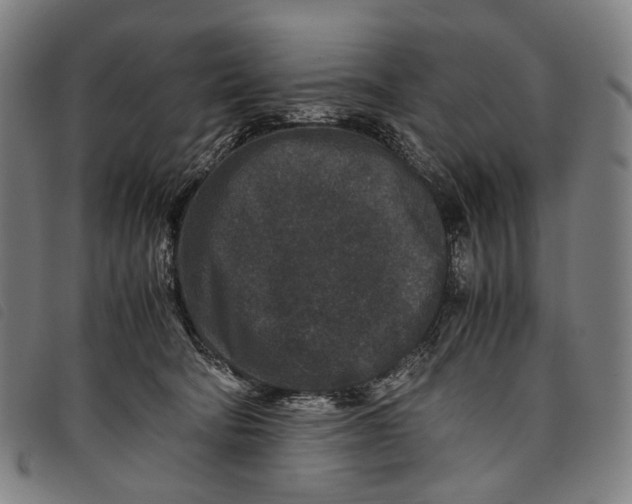 X0000097840322200804041449