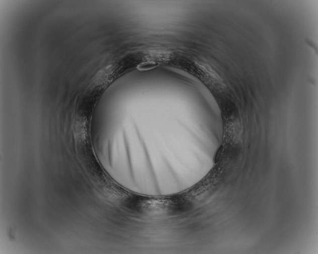 X0000097840323200804041449