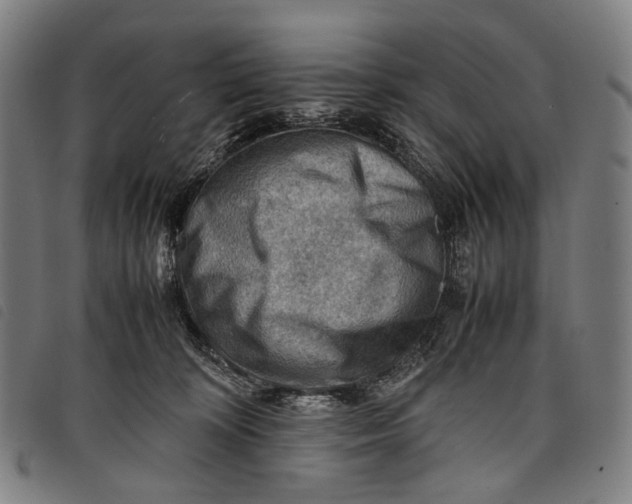 X0000097840324200804041449