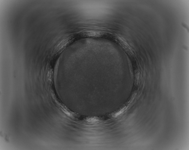 X0000097840325200804041449