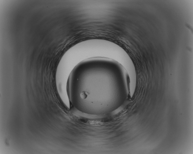 X0000097840327200804041449