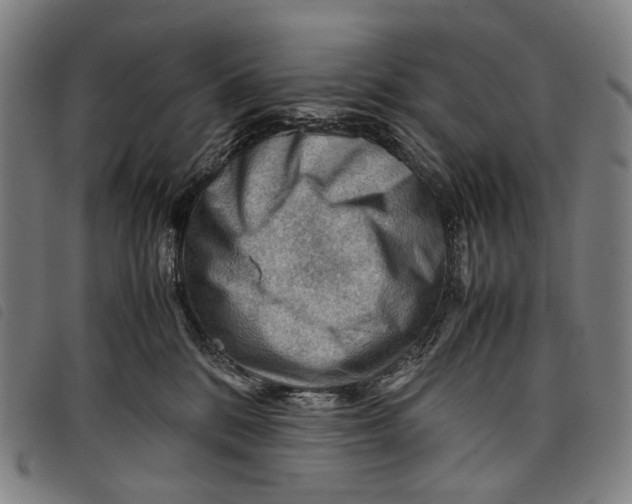 X0000097840328200804041449