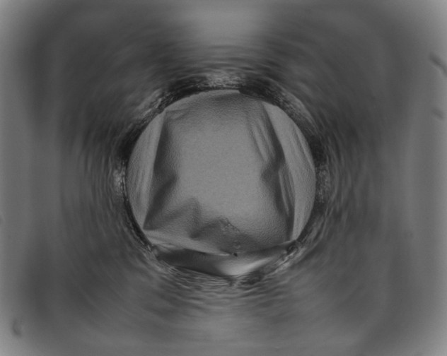 X0000097840329200804041449