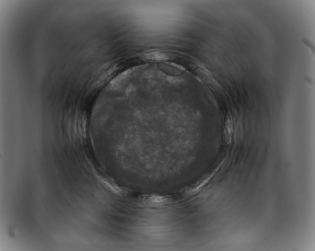 X0000097840330200804041449