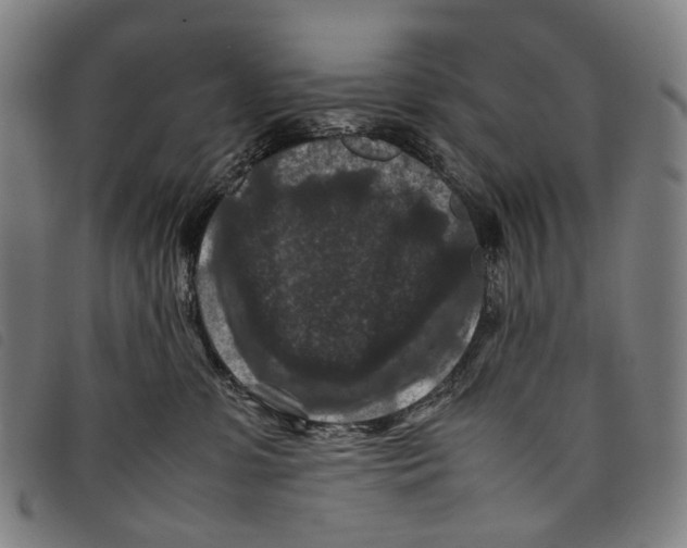 X0000097840331200804041449