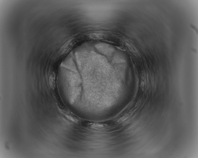 X0000097840332200804041449
