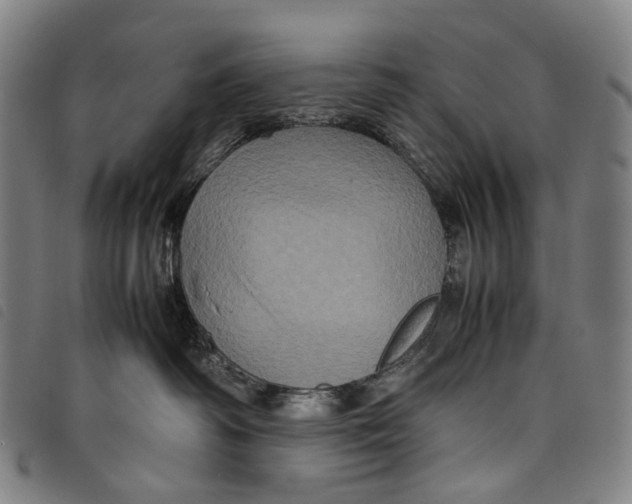 X0000097840334200804041449