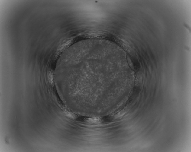 X0000097840335200804041449