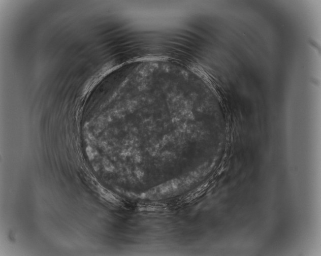 X0000097840337200804041448