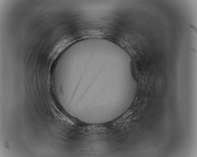 X0000097840338200804041448
