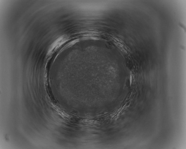 X0000097840339200804041448