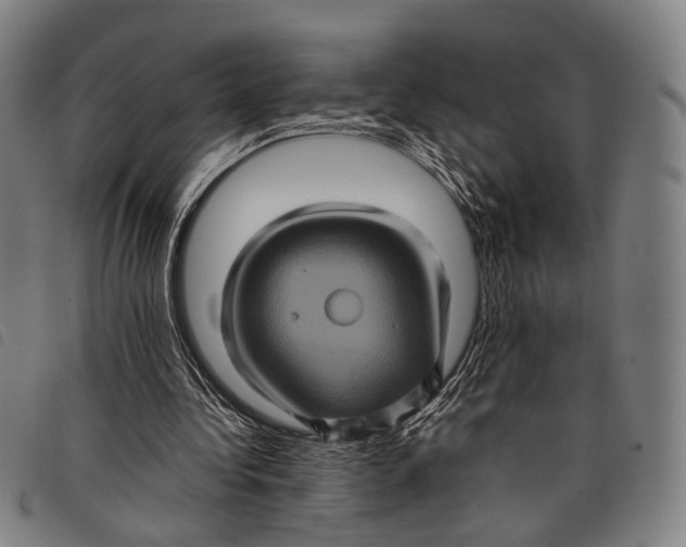 X0000097840340200804041448