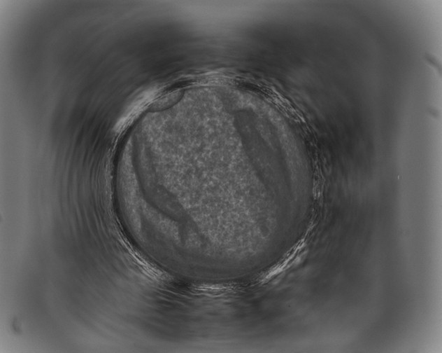 X0000097840341200804041448
