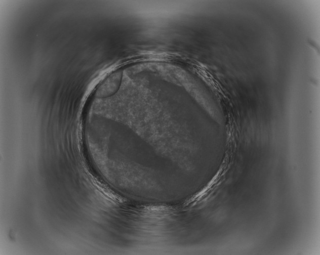 X0000097840342200804041448