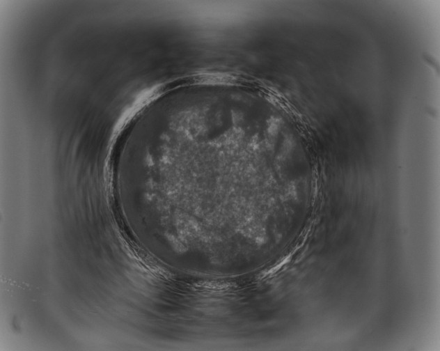 X0000097840343200804041448