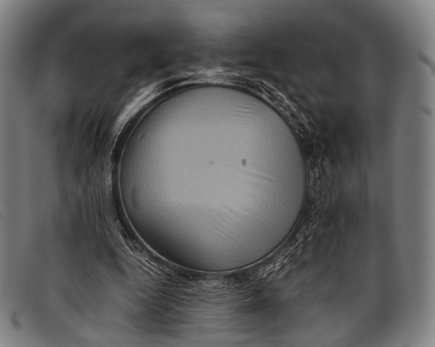 X0000097840344200804041448